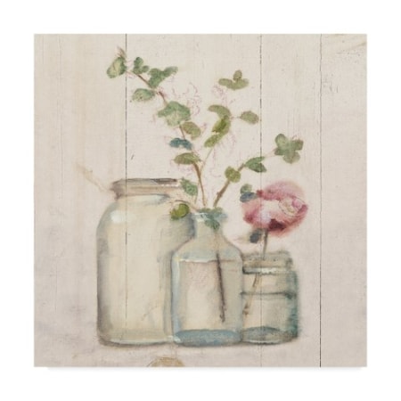 Cheri Blum 'Blossoms On Birch IV' Canvas Art,18x18